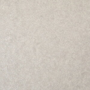 700040432 CFTI8110 ThXg[ NbVtA Xxh 45×120 ThXg[  [J[