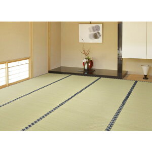 【エントリーでP10倍!24日20:00-27日9:59】 158002380 い草カーペット 谷川(たにがわ) 本間8畳 382×382 萩原 メーカー直送