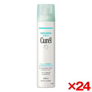 y24Zbgzԉ L fB[vCX`[Xv[ 250g