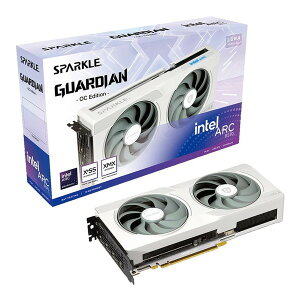 SB570GW-10GOC SPARKLE Intel Arc B570 GUARDIAN Luna OC [OtBbN{[h]