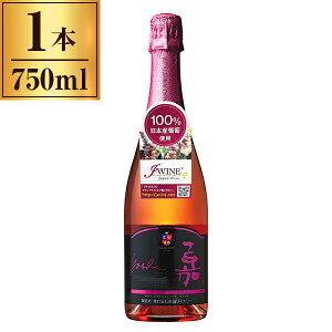 yGg[P5{!2020:00-271:59z C ÃXp[NO[ubg 750ml Ci[ [J[