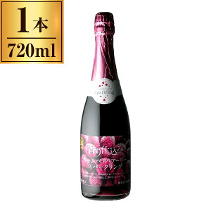 ͂Ă킢 dLxA[[Xp[N  720ml [J[ Mtg v[g Ε ~Mtg