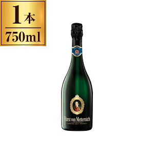 tXgEtHEbejq [XO gbP  750ml [J[ Mtg v[g Ε ~Mtg