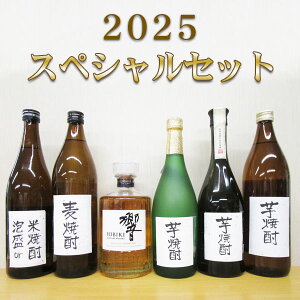 ECXL[ iXyVZbg@j@Tg[Wpj[Yn[j[700ml 1{ƏĒ5{܁By蔭10Zbgzsp-03