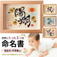 命名書 命名紙 オーダー 代筆 かわいい おしゃれ 用紙 額 台紙 手書き 出産祝い 男の子 女の子 名入れ プ…