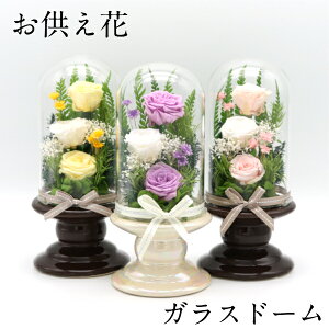 vU[uht[  h[  䋟  ~ ފ @v @  l\  a uU[uht[ uU[ht[ vU[ht[ vU:i