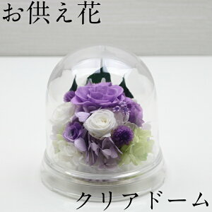 vU[uht[  h[  䋟  ~ ފ @v @  l\  a uU[uht[ uU[ht[ vU[ht[ vU:؉ԁi