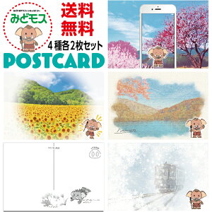 4e2̌v8Zbg t Qn݂ǂs }XRbgLN^[ ݂ǃX ObY |XgJ[h nLN^[  ЃIWi fUC |Cg |XgJ[h 