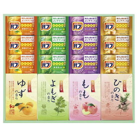 炭酸 薬用入浴剤セット (BKK-25) [キャンセル・変更・返品不可]