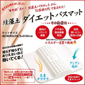 珪藻土 ダイエット バスマット(DIET BATHMAT) [キャンセル・変更・返品不可]