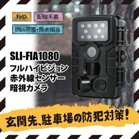 フルハイビジョン 赤外線センサー 暗視カメラ SLI-FIA1080 [キャンセル・変更・返品不可]