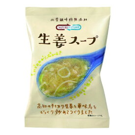 NF 生姜スープ(10食) 単品 [キャンセル・変更・返品不可]
