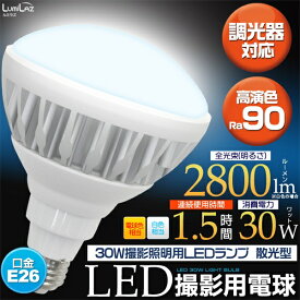 [LED電球・蛍光灯] 30W撮影照明用LEDランプ 散光型 [キャンセル・変更・返品不可]