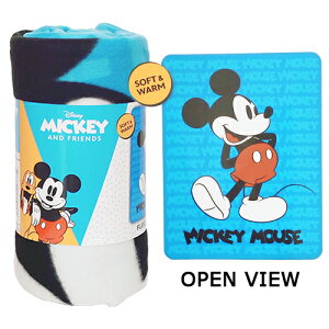 ~bL[ t[X uPbg ( ITS MICKEY ) 45in×60in 20687 ~bL[}EX ObY Ђ ѕz   炩f H ~ 唻 fBYj[ LN^[ q LbY l G A