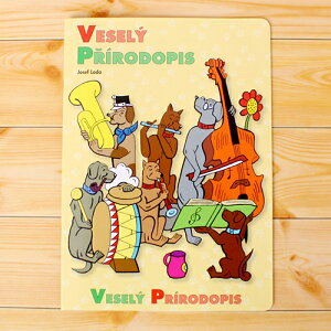 �y�������`�[�t�z�h��G �W���Z�t(�W���Z�t ���_) AK3174 | �A�� ������� ���킢�� �v���[���g �O�b�Y ���� �z�r�[ �|�b�v �������� pud430�yh_game�z