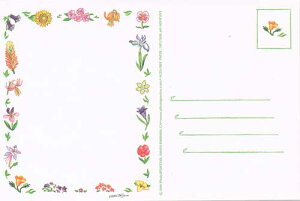 tHg|Xg Cht[ y4z 966 C|[g Ai AJ ʐ^ H fR 莆 |XgJ[h  [֔zydsz