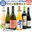 ナチュラルワイン 【 月替わり 6月限定 6本 セット 】（750ml×6） ロゼ泡 白 オレンジ 赤 ワイン ワインセット ＆ 自然派ワイン を楽しむための プレヴナン オリジナル小冊子 ギフト 期間限定 ホームパーティ