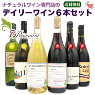 ナチュラルワイン 【 デイリーワイン 6本 セット 】（750ml×6） お手頃 デイリー ワイン 自然派ワイン …