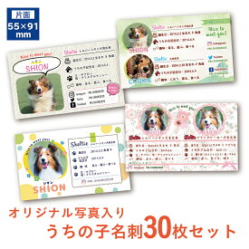 うちの子 名刺　30枚セット( ペット 名刺 オフ会 犬 猫 うさぎ 多頭飼い 多頭 デザイン多数 オーダー オーダーメイド名刺)
