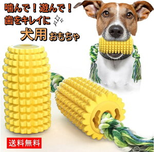 yzp ybg ނ gERV^ R[^  d R [v  uV XgX ^s ϋv v x VŊyŎI