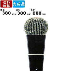 楽天市場 癒し大王の通販