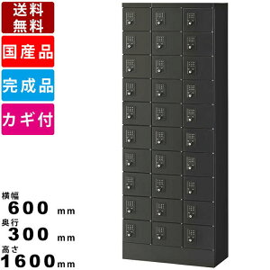 【楽天お買い物マラソン!!各種クーポン配布中】30人用小物入れロッカー KLKK-30-BBK ボタン錠タイプ 小物入れロッカー 貴重品ロッカー 3列10段30人用 会社 工場 学校 施設 一時保管庫 更衣室 シ