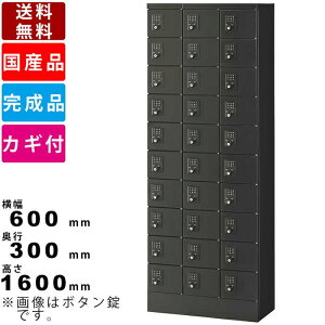 30lpꃍbJ[ KLKK-30-TNBK CeA ItBX[ ItBXƋ ubN  tbJ[ i pi wZpi X[bJ[ 310i30lp X`[bJ