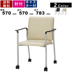 ~[eBO`FA BAS-P420A It `FA `FA[ ItBXƋ cp`FA LX^[`FA[ iCLX^[ PVC J[2F X`[r CX c֎q O570mm×s