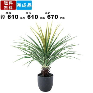 tFCNO[ GRN-12 ~jpCibv   CeA C~e[V  _CjO Q rO lHA ϗtA 킢    fBXv[ fBXv