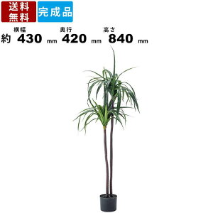 tFCNO[ hZi N-15 lHϗtA  IV 킢 ₵ bNX 炬  R  肢炸 ͂Ȃ lHA ϗtA 蕨 v[g CeA Jt