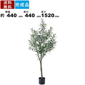 tFCNO[ GRN-17 I[u fBXvC fBXv[ lHA IuWF  rO _CjO Q   ^G O[CeA ϗtA C~e[V 