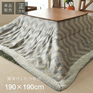 |R^czc KK-131 ` zc xzc VFu   pi |tg |zc i JWA |zc rO Q CeA V800mm×800mmȉ