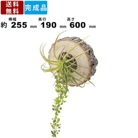 楽天市場 切り株 オブジェの通販