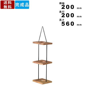 yyV}\!!eN[|zzzv^[ TTZ-313 nMOv^[ 3i 200×s200×560 vgnK[ ݂艺 rO CeA K[fjO VR 