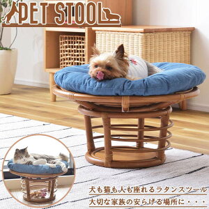 Xc[ PET-64 ybgXc[ ybg`FA |֎q NbV O\ ^`FA ][g`FA ybgxbg   Vv Lbg hbO Lp p CeA 