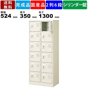 【楽天お買い物マラソン!!各種クーポン配布中】12人用シューズロッカー BST2-6WKN 2列6段 鍵付き 扉付きタイプ スチール製 シューズラック 保管庫 収納庫 スチールロッカー 玄関収納 壁面収納