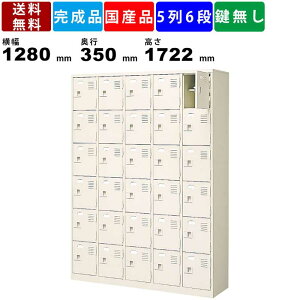【楽天お買い物マラソン!!各種クーポン配布中】30人用シューズロッカー BST5-6HN 5列6段 中棚付き 扉付きタイプ スチール製 収納家具 シューズボックス スチールロッカー 靴箱 下駄箱 セミホワ