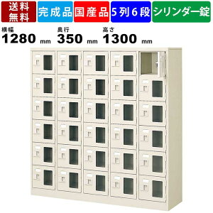 【楽天お買い物マラソン!!各種クーポン配布中】30人用シューズロッカー BST5-6WMXKN 5列6段 鍵付き 窓付き 扉付きタイプ スチール製 シリンダー錠タイプ 収納ボックス 備品ロッカー 玄関口 昇降