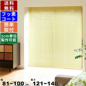 CeAuCh F-NF-100140 TCYI[_[ Wdl tbfR[g J[e グJ[e XN[ uCh ߉\ R[hʒuI\ d؂ Ԏd؂   81