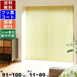 yyVSUPERSALE!eN[|zzzCeAuCh F-NF-10080 TCYI[_[ Wdl tbfR[g XN[ [XN[ グJ[e I[_[uCh ډB 