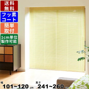 yyVSUPERSALE!eN[|zzzCeAuCh F-NF-120260 TCYI[_[ Wdl tbfR[g XN[ I[_[XN[ [XN[ ډB ڂ uCh 