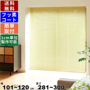CeAuCh F-NF-120300 TCYI[_[ Wdl tbfR[g [uCh uCh J[e XN[  d؂ Ԏd؂ J[e[Ή   tbf
