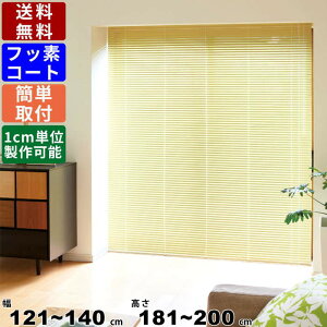 yyVSUPERSALE!eN[|zzzCeAuCh F-NF-140200 TCYI[_[ Wdl tbfR[g [uCh I[_[uCh ډB ڂ [J[e [X