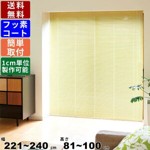 CeAuCh F-NF-240100 TCYI[_[ Wdl tbfR[g グJ[e [J[e d؂ Ԏd؂ XN[ uCh n^Cv Vt ʕt I[_[