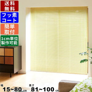 インテリアブラインド F-NF-80100 サイズオーダー 標準仕様 フッ素コート ロールブラインド ブラインド 仕切り 間仕切り 寝室 リビング キッチン 高さ調節可能 昇降コード チルトポール 天井付