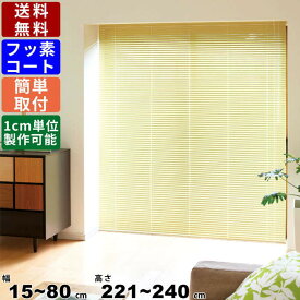 楽天市場 キッチン 間仕切りカーテンの通販