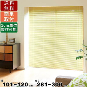 yyVBLACKFRIDAY!eN[|zzzCeAuCh F-NO-120300 TCYI[_[ Wdl [J[e [XN[ uCh Vt ʕt ډB ڂ J[28F 