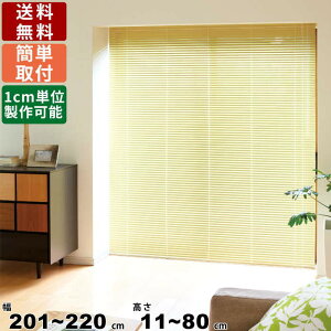 CeAuCh F-NO-22080 TCYI[_[ Wdl [XN[ uCh J[e  CeA   ~R[h ʕt Vt I[_[uCh I[_[J[e