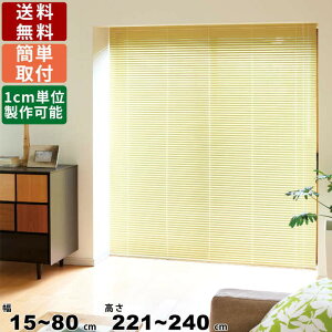 CeAuCh F-NO-80240 TCYI[_[ Wdl uCh [J[e [XN[ グJ[e I[_[XN[  d؂ Ԏd؂ 15`80mm 221`24