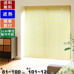 CeAuCh F-NS-100120 TCYI[_[ Wdl ՔMR[g [XN[ XN[ ՔMuCh グJ[e  d؂ Ԏd؂ Vt ʕt 81`100mm 